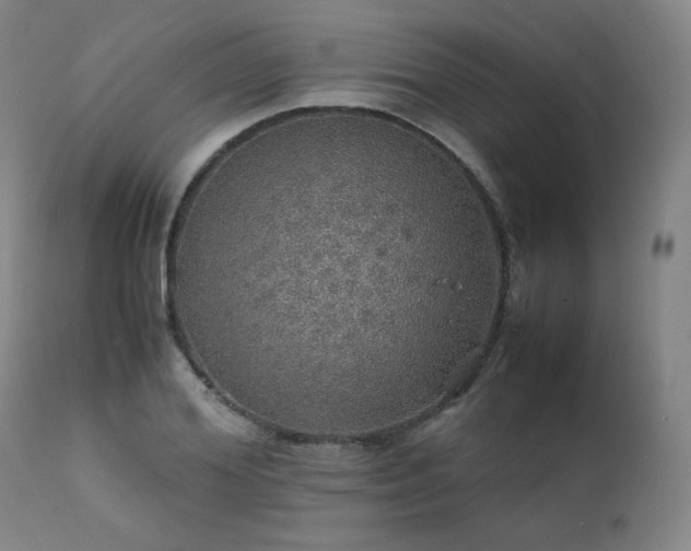 X0000111470980200907131515