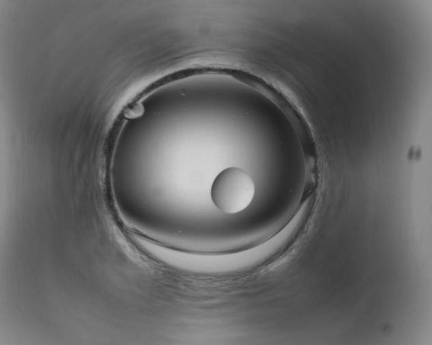 X0000111470981200907131515