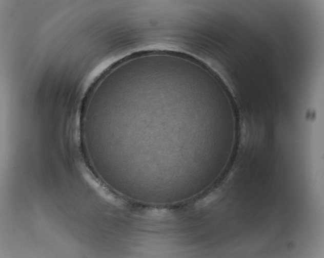 X0000111470982200907131515
