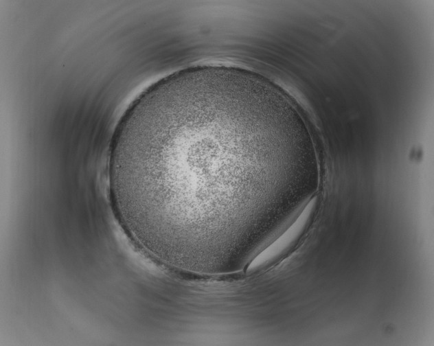 X0000111470984200907131515