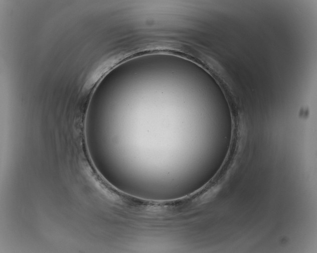 X0000111470985200907131514