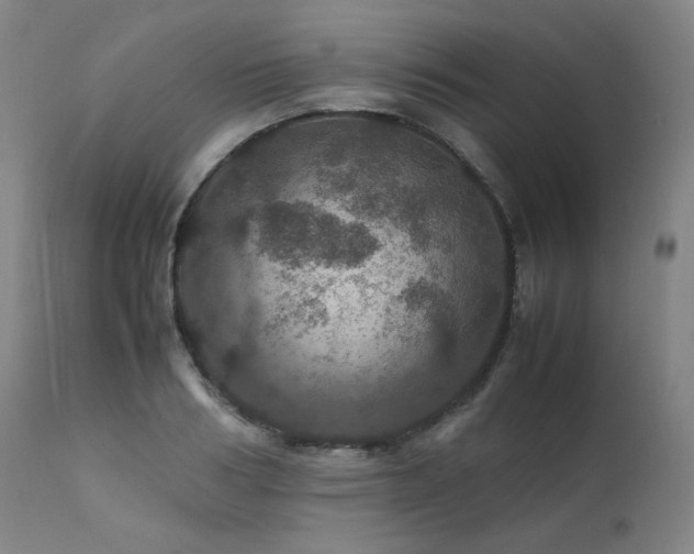 X0000111470986200907131514