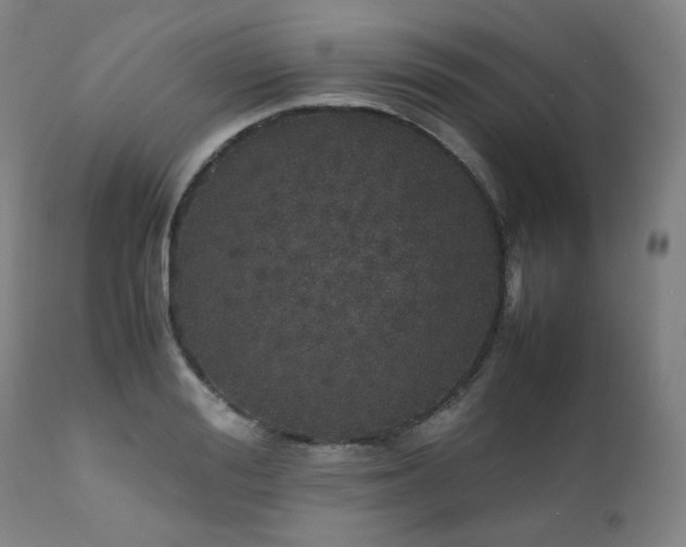 X0000111470988200907131514