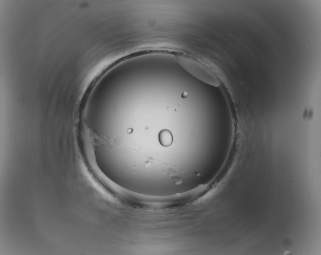 X0000111470989200907131514