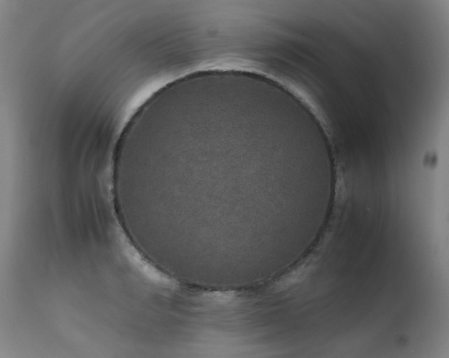 X0000111470990200907131514