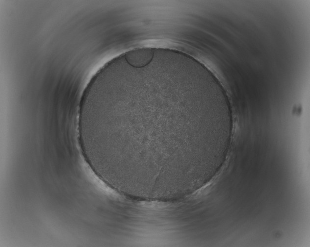 X0000111470992200907131514