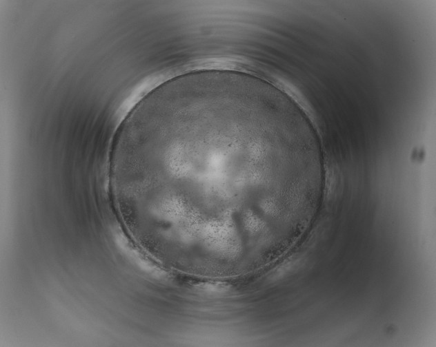 X0000111470994200907131514
