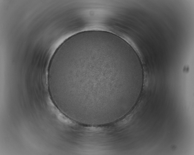 X0000111470996200907131514