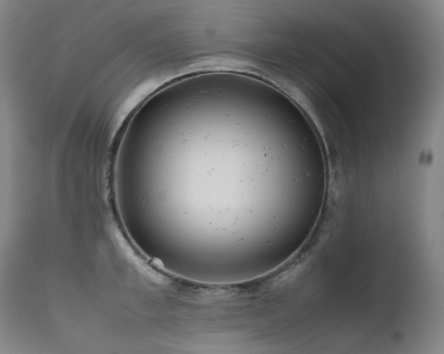 X0000111470997200907131514