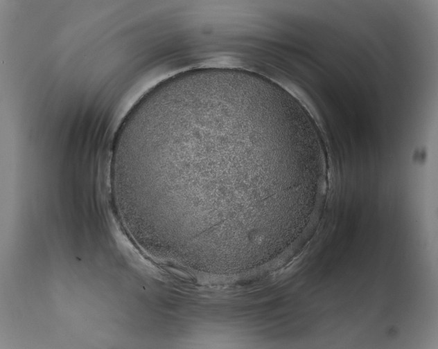 X0000111471000200907131514