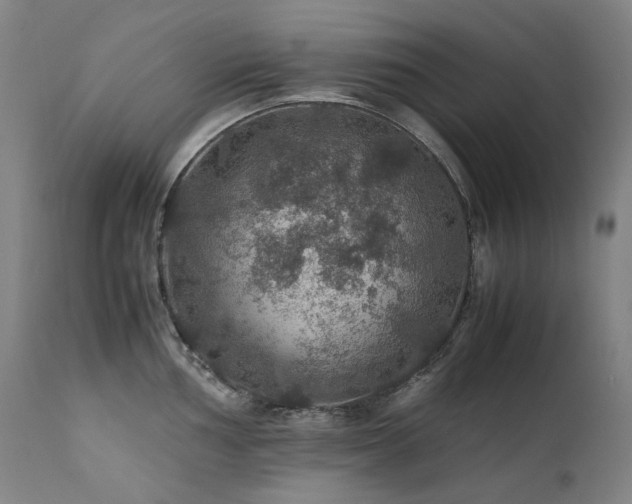X0000111471002200907131514