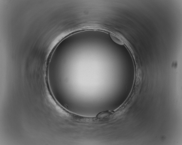 X0000111471005200907131514