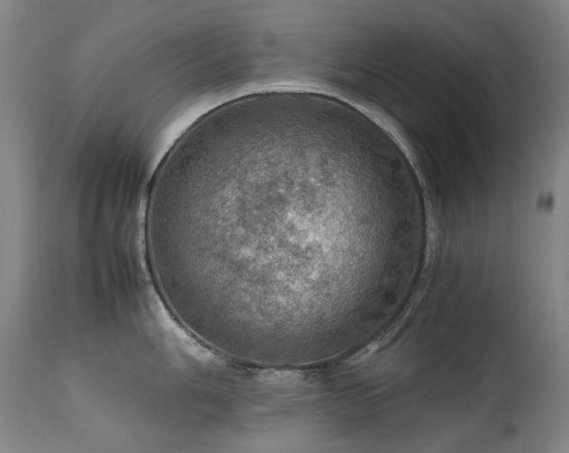 X0000111471006200907131514