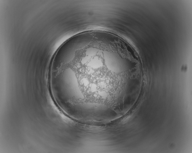 X0000111471007200907131514