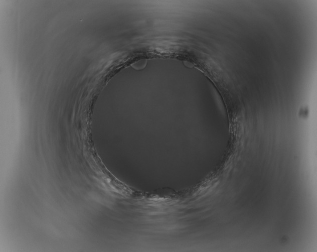 X0000111471009200907131513