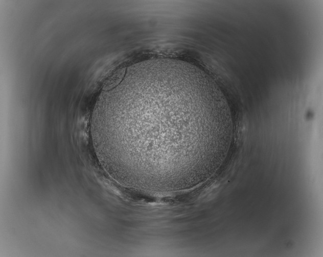 X0000111471010200907131513