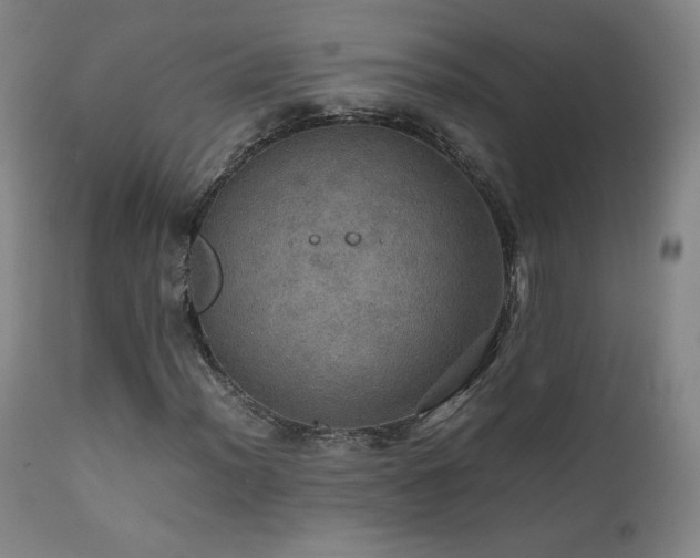 X0000111471012200907131513