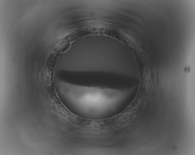X0000111471013200907131513