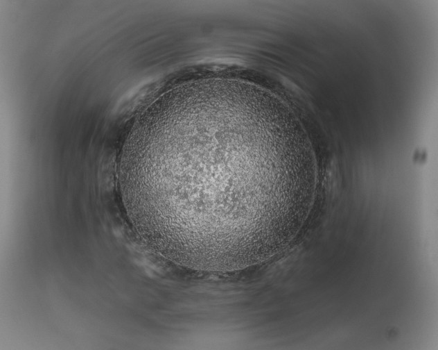 X0000111471014200907131513