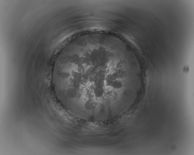 X0000111471015200907131513