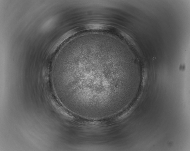X0000111471017200907131513