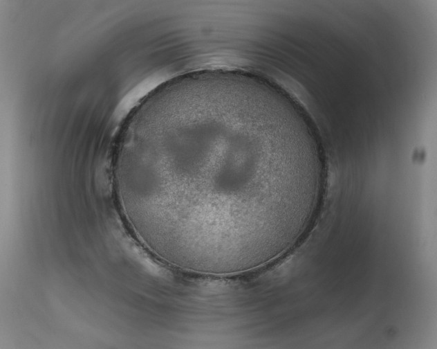 X0000111471018200907131513
