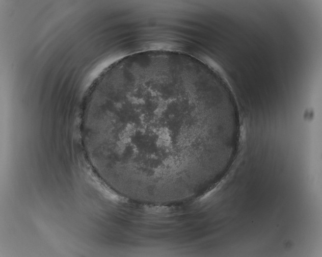 X0000111471019200907131513