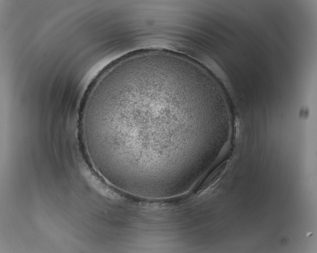 X0000111471020200907131513
