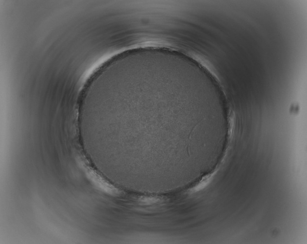 X0000111471021200907131514
