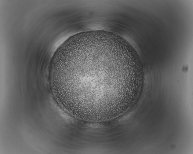 X0000111471023200907131514