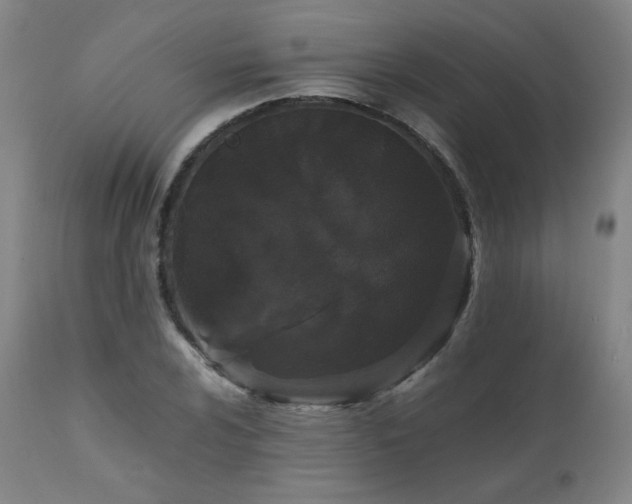 X0000111471024200907131514