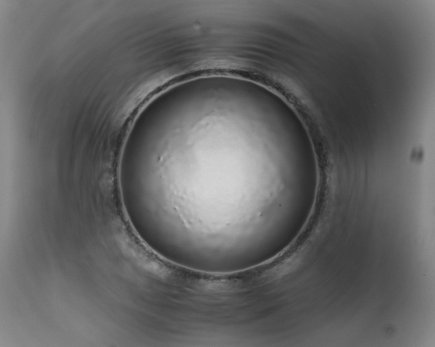 X0000111471025200907131514