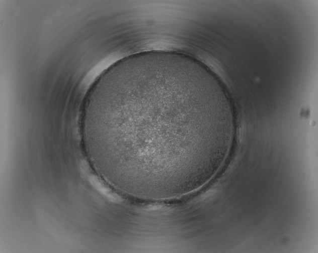 X0000111471026200907131514