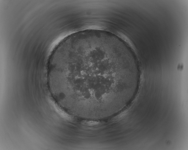 X0000111471027200907131514