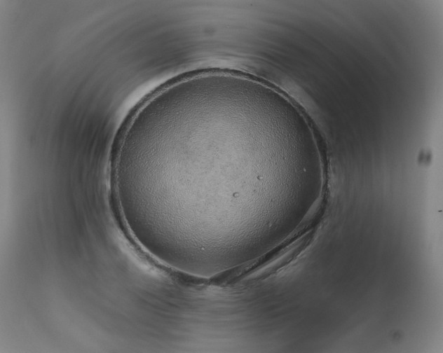 X0000111471028200907131514