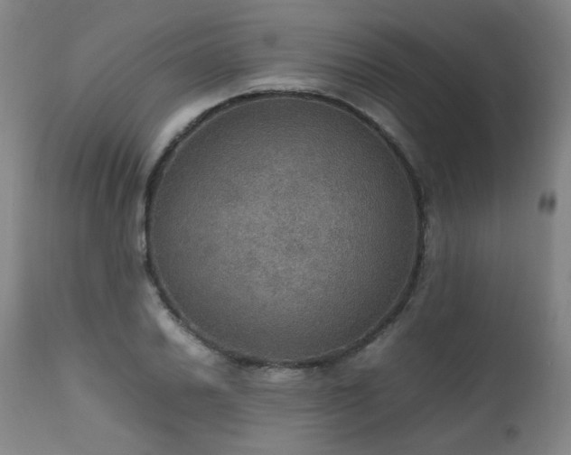 X0000111471030200907131514