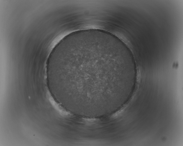 X0000111471031200907131514