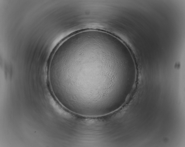 X0000111471032200907131514