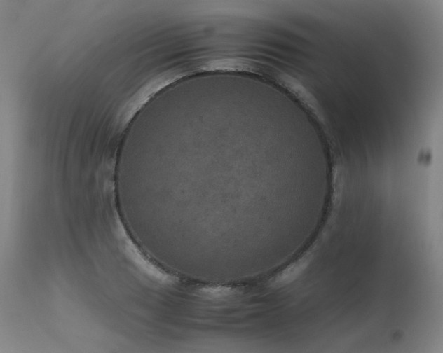 X0000111471033200907131514