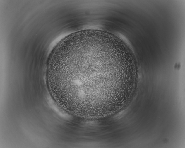 X0000111471035200907131514