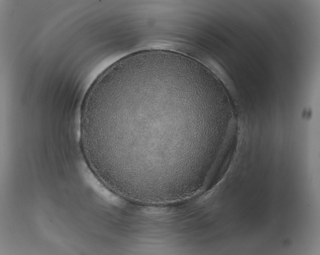 X0000111471036200907131514