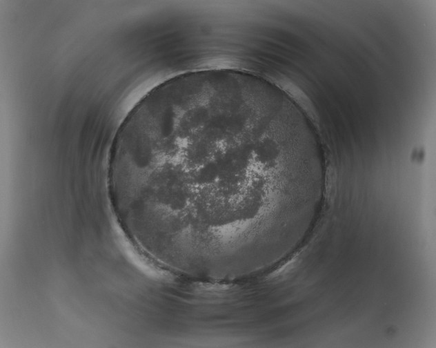X0000111471039200907131514