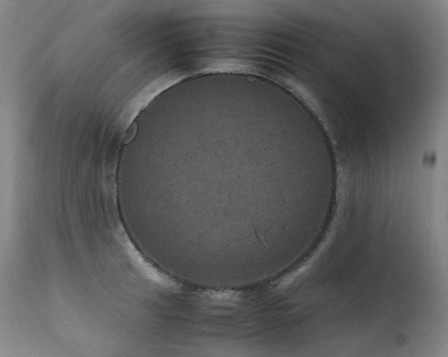 X0000111471041200907131514