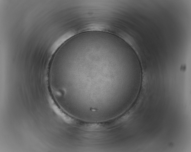 X0000111471042200907131514