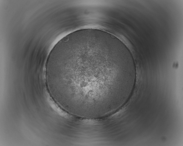 X0000111471044200907131514