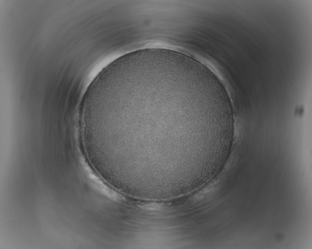 X0000111471048200907131514