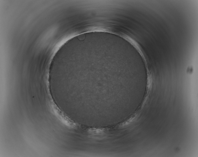 X0000111471051200907131514