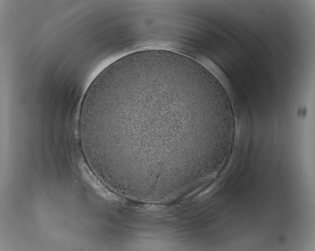 X0000111471052200907131514