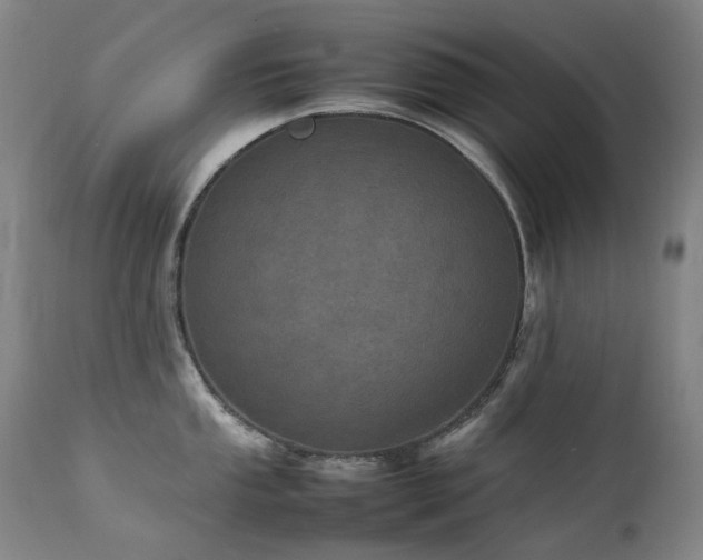X0000111471053200907131514