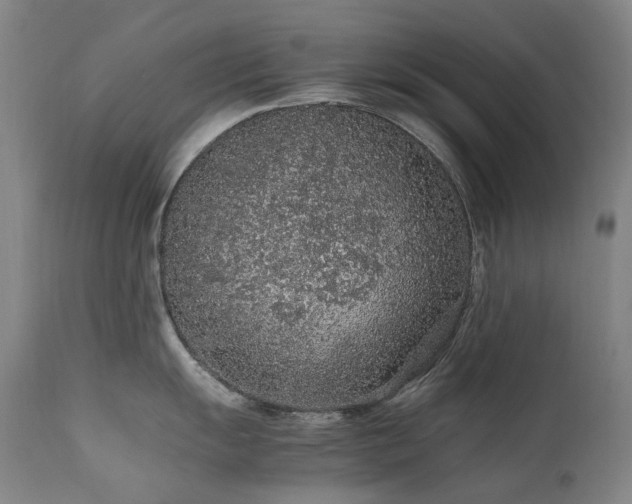 X0000111471055200907131514